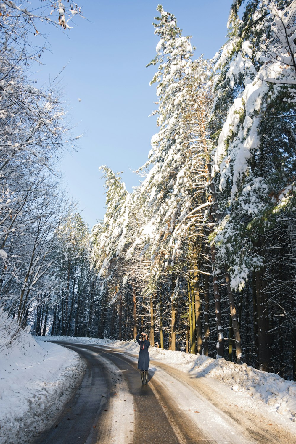 昼間、木々の間の雪に覆われた小道を歩く人