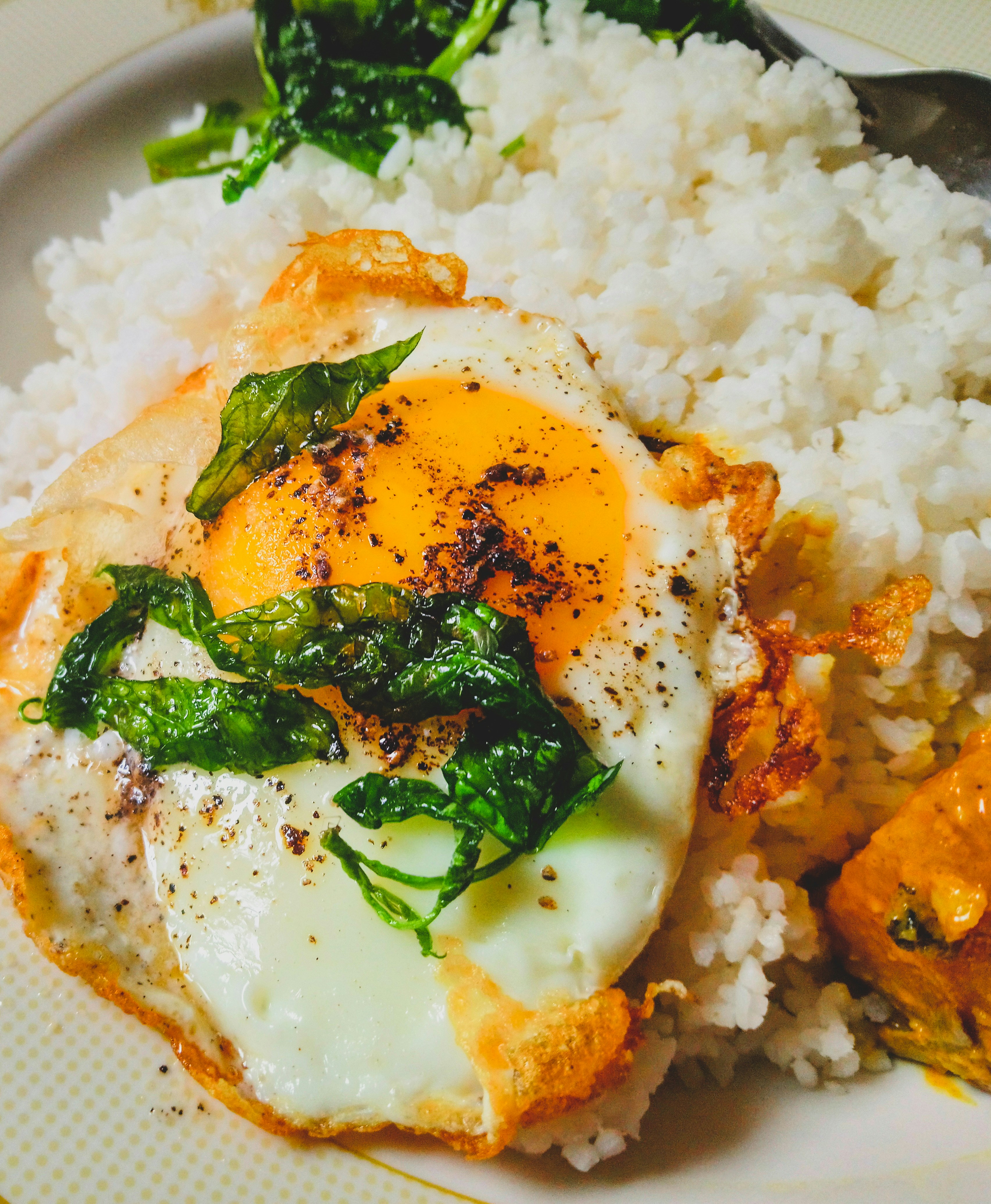 Photo by nisuda_nirmantha