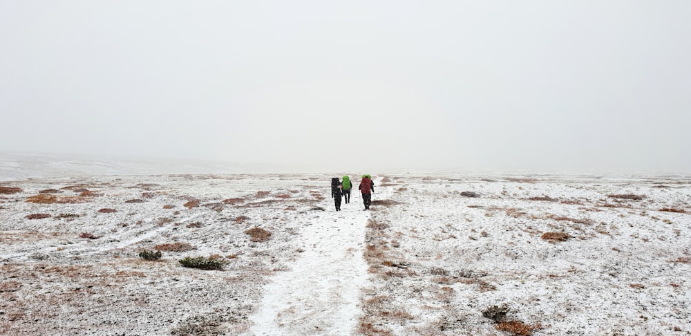 2 person walking on white sand during daytime