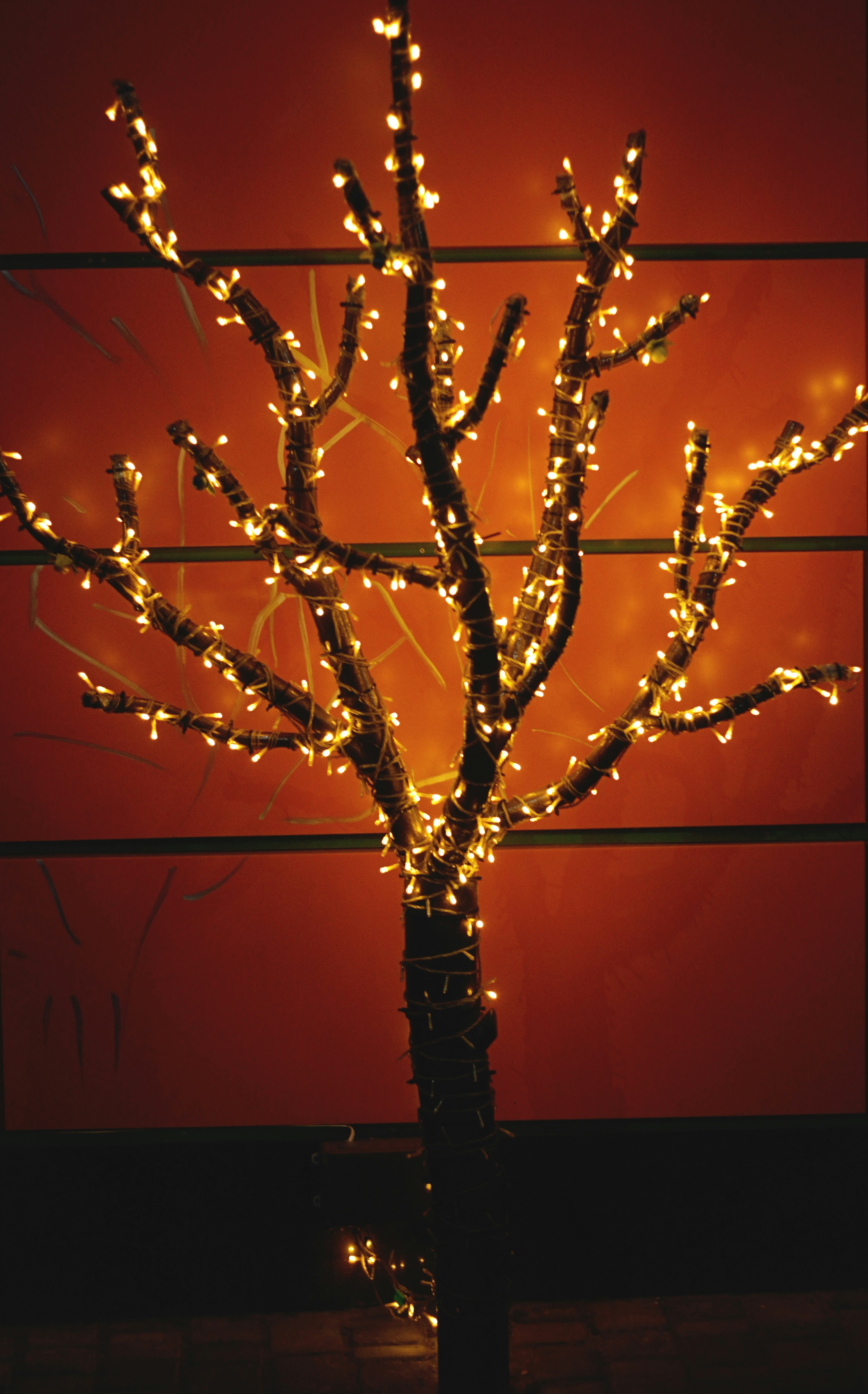 Photo by iamfrancismorgan