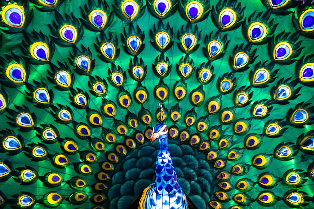 blue green and yellow peacock