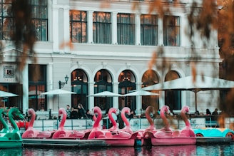 A vibrant boat tour in Celestún with flamingos in the background.