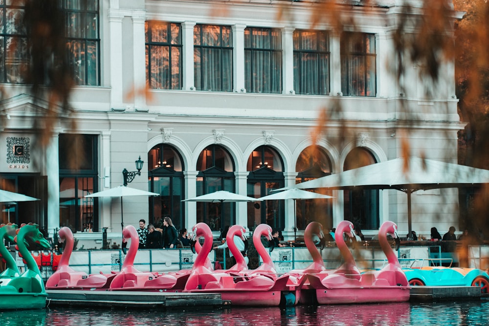 a group of pink flamingos floating on top of a body of water