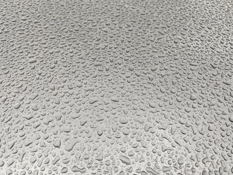 Photo by Alejandro Morelos