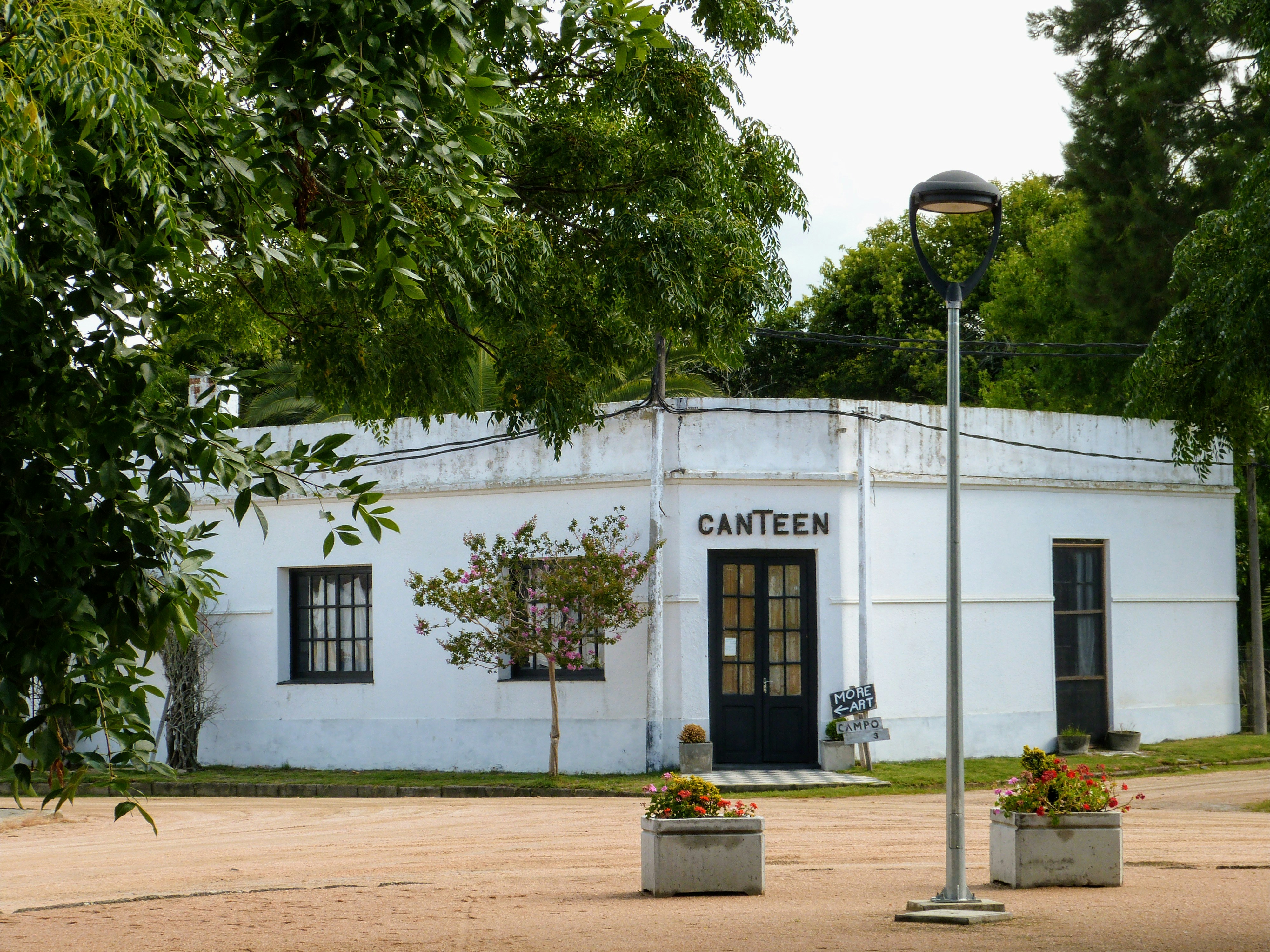 white concrete building near green trees during daytime