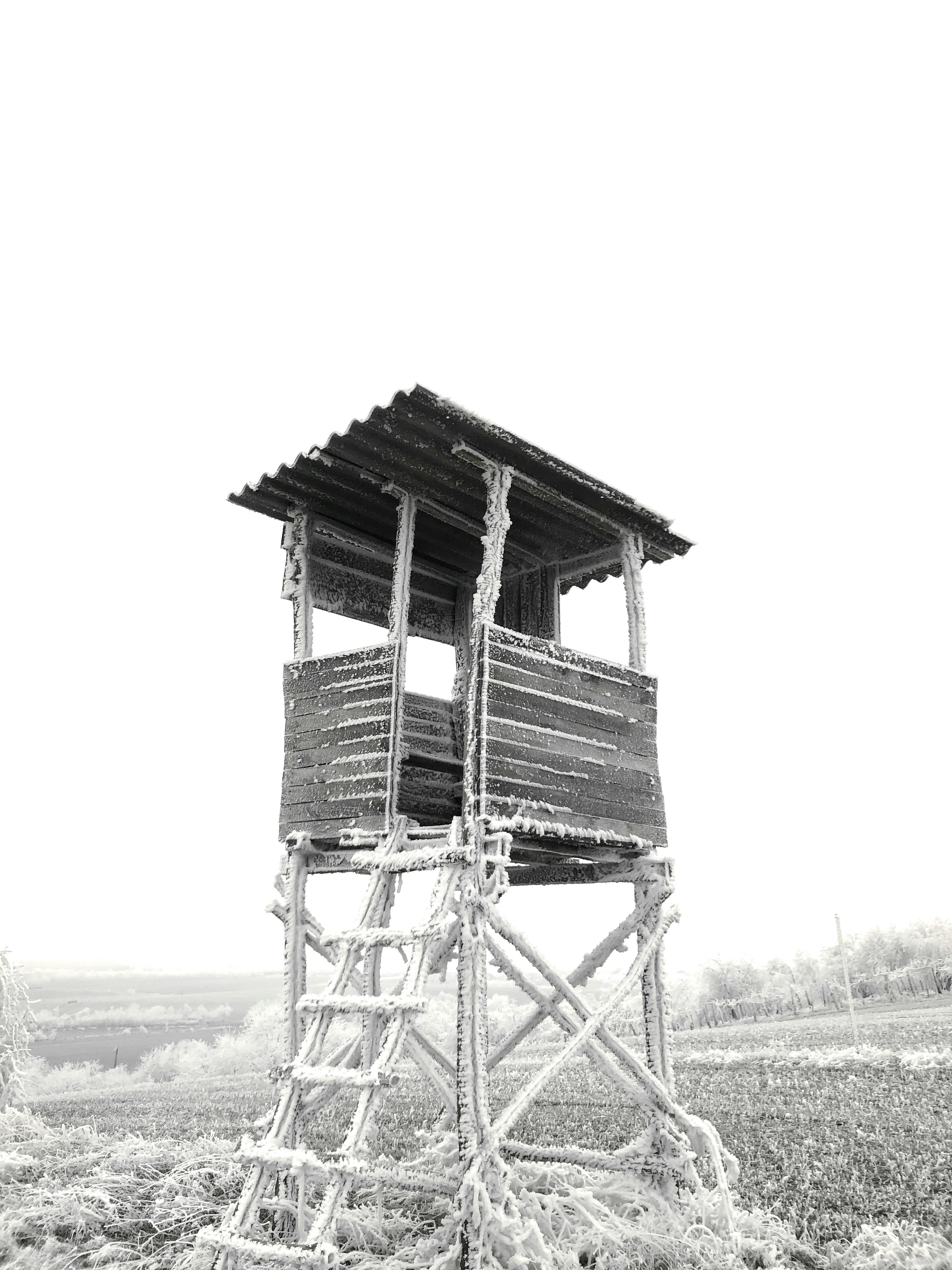 grayscale photo of wooden house