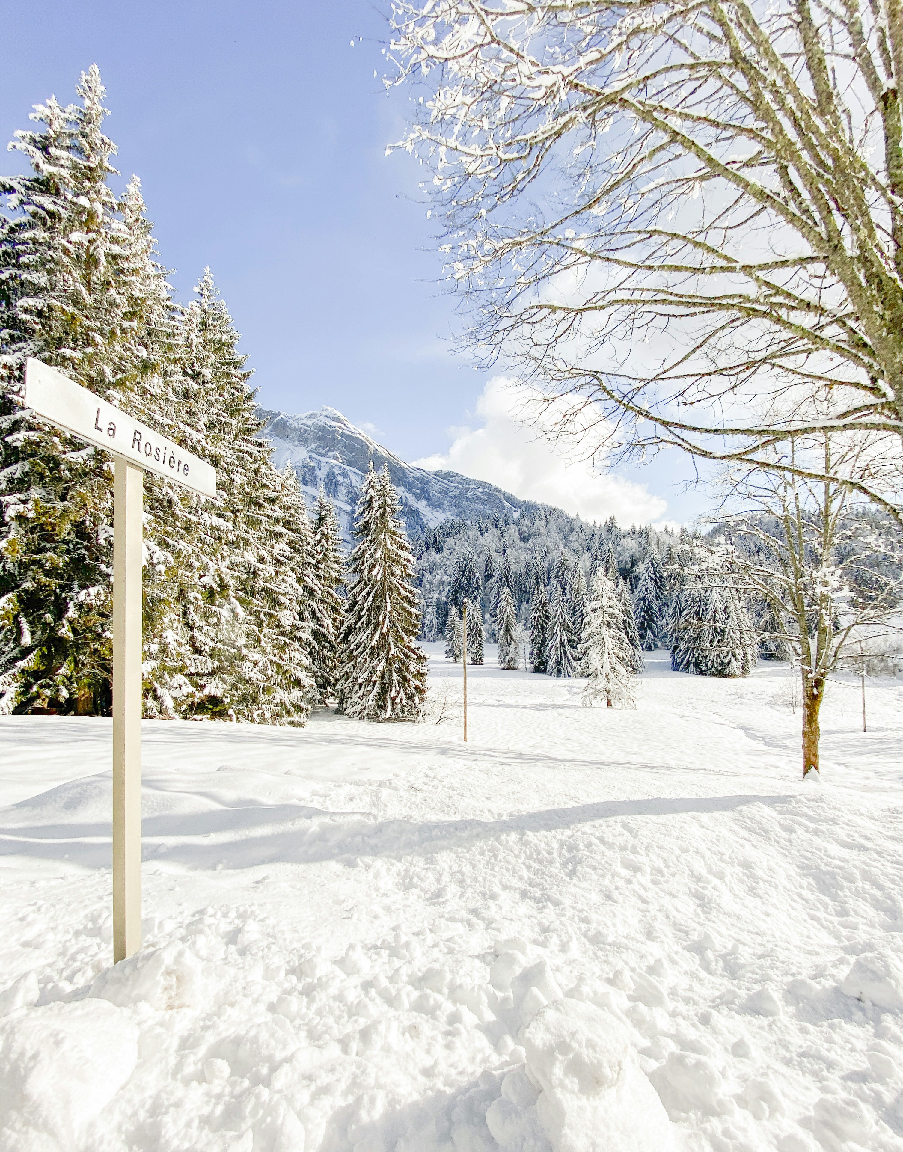 Photo by chsn_helena