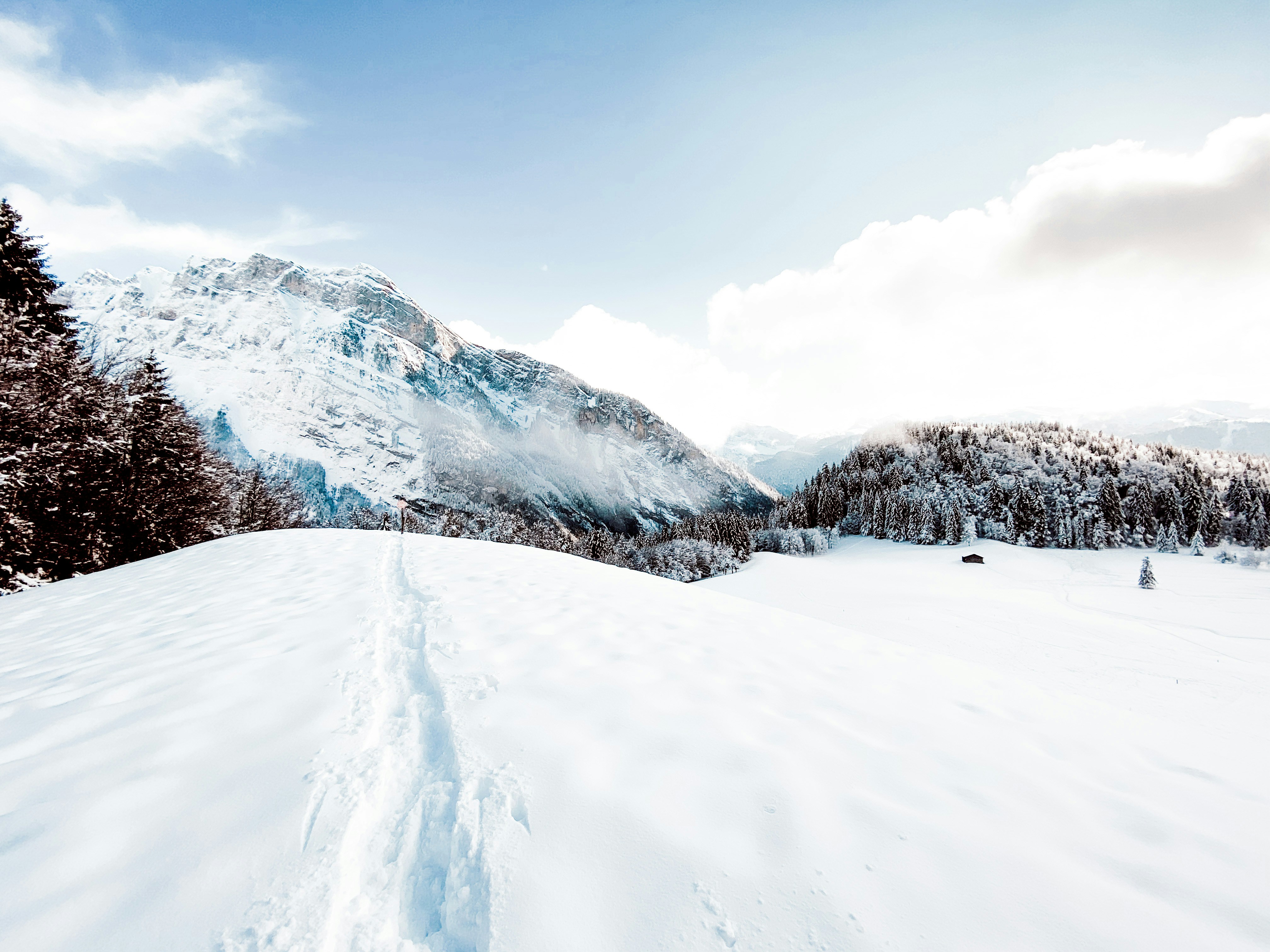 Photo by chsn_helena