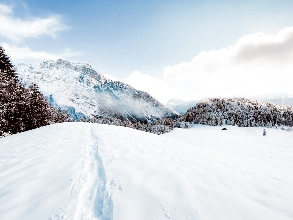 a person riding skis down a snow covered slope