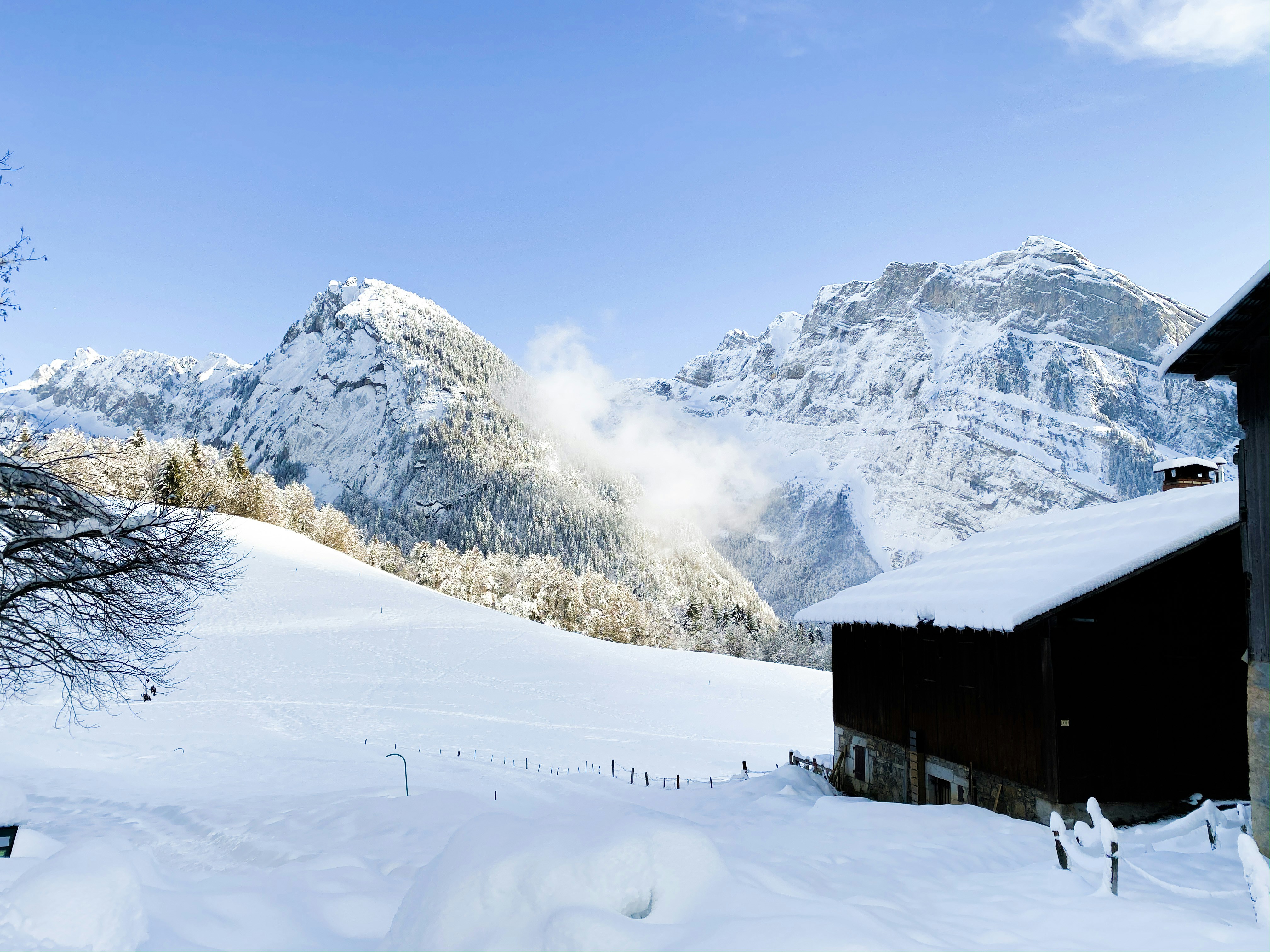 Photo by chsn_helena