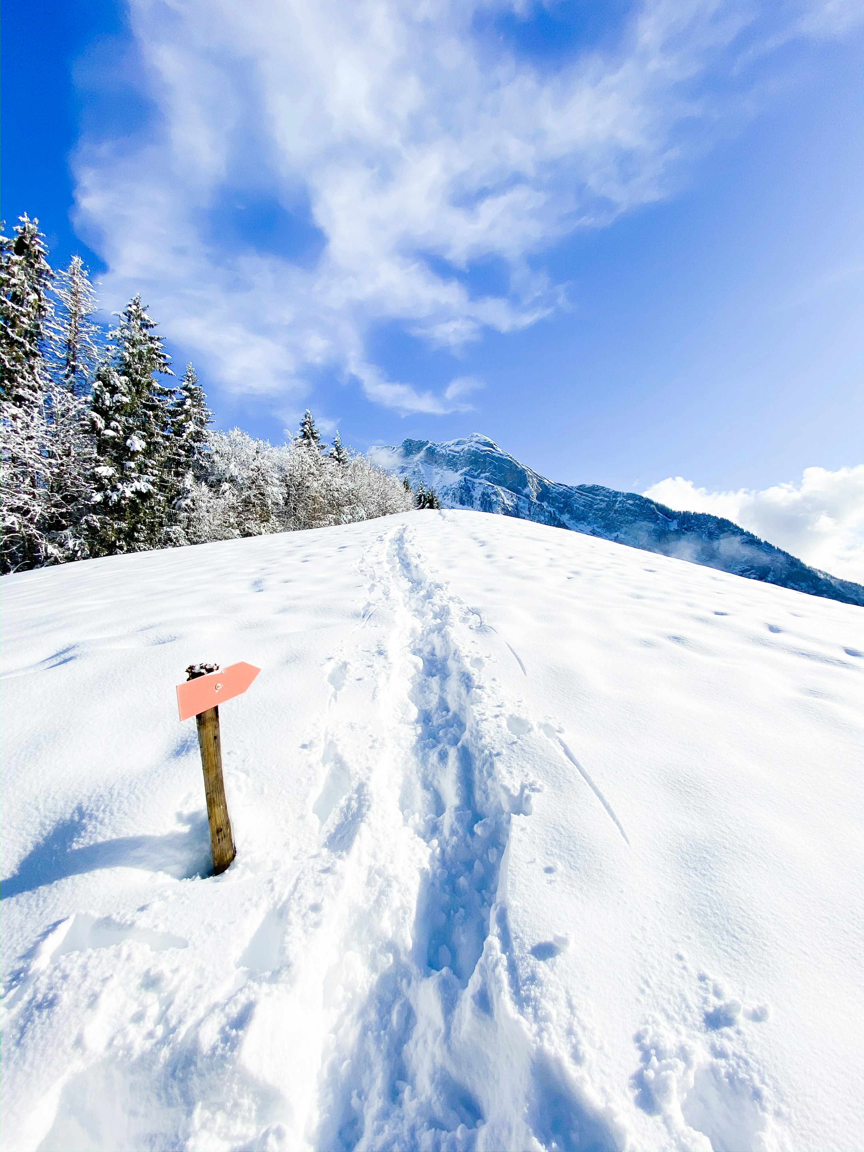 12 Best Winter Sports Tools for DIY Ski Maintenance at Home