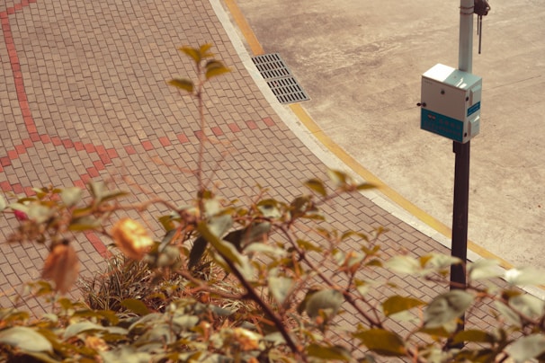 A paved area with a surveillance or utility pole holding a metal box, possibly for telecommunications or security. The ground is composed of interlocking bricks with a striped pattern, and there's a section of concrete paving. In the foreground, out-of-focus leaves and branches create a natural frame.