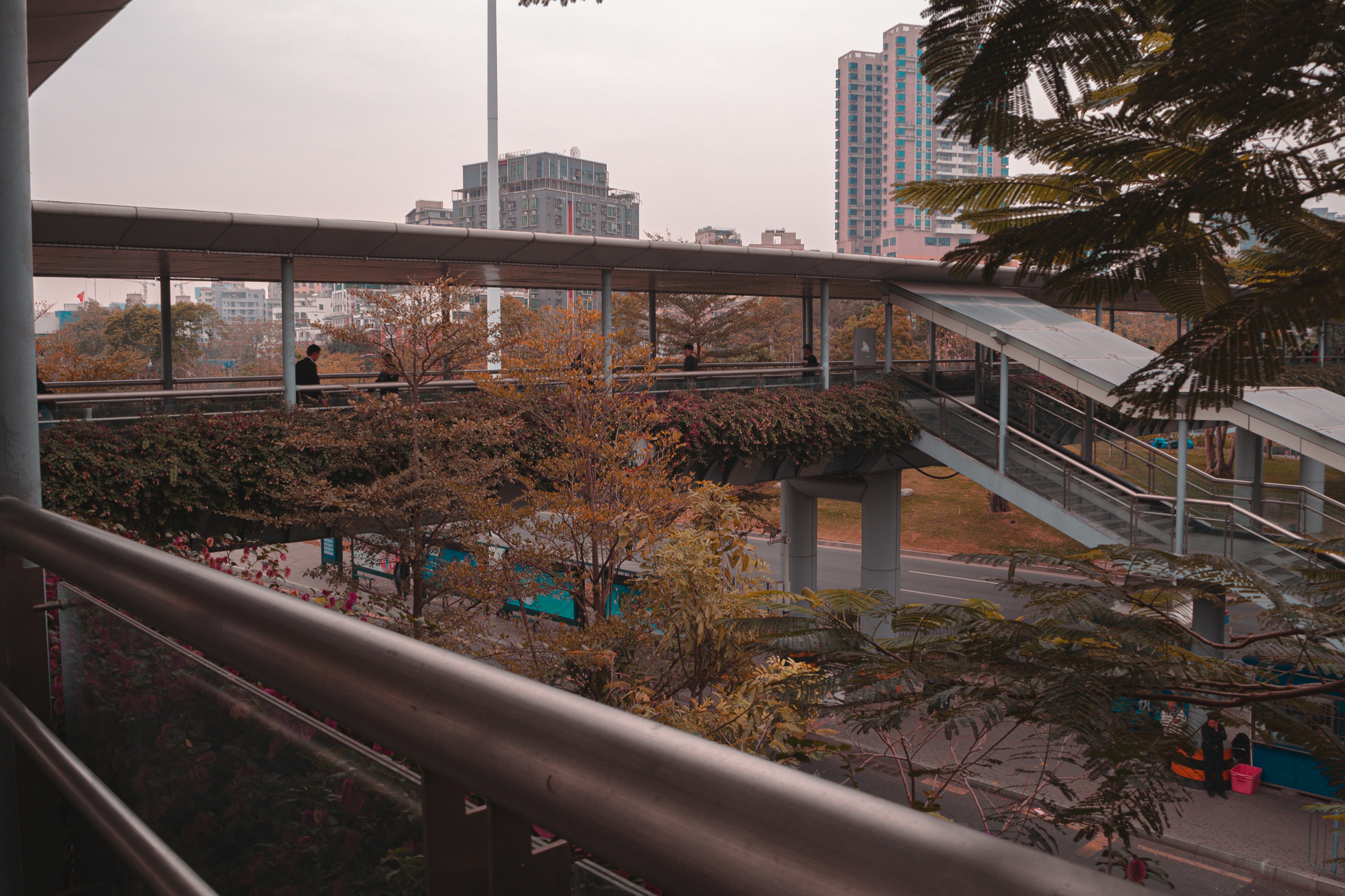 Photo by joshuafernandez