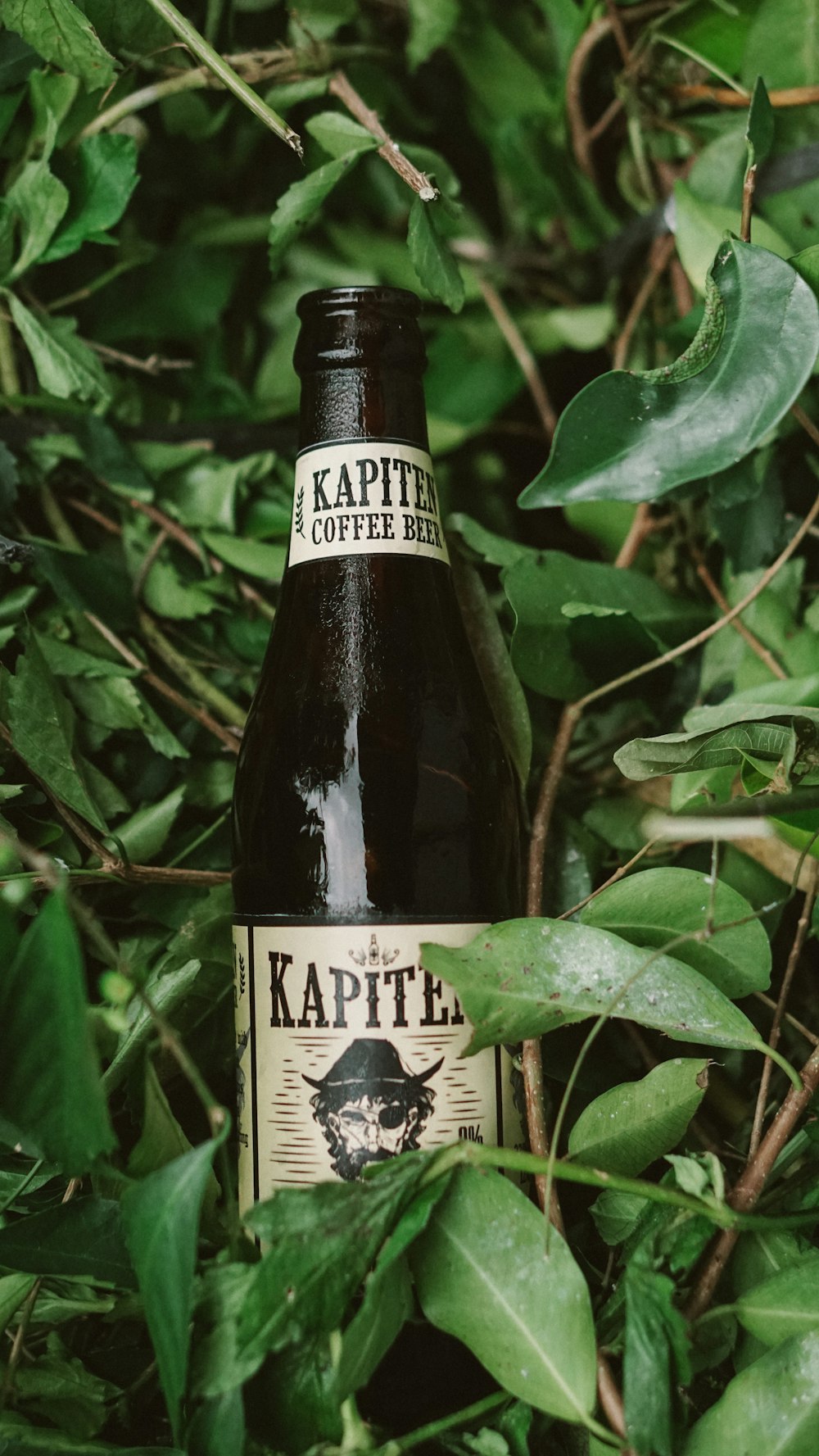 a bottle of kapita coffee sits in a bush
