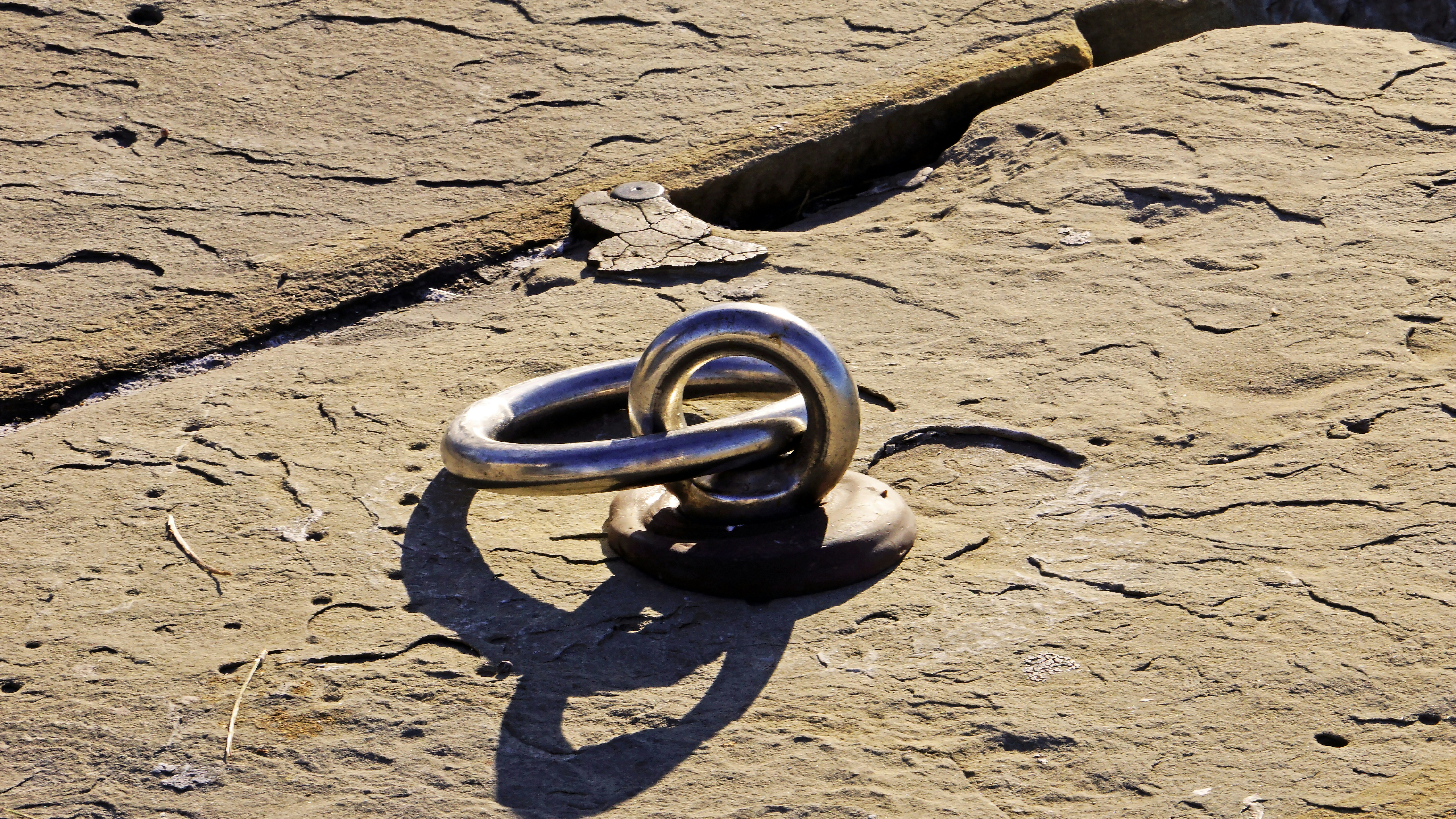 La rupture de Ring avec Flock ne résout pas son véritable problème