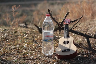 A plastic bottle of water with a red cap and label featuring text and logo stands on the ground next to a small guitar or ukulele. They are placed on a grassy area with dry twigs and branches scattered. The background features a blurred natural setting with more dry grass and twigs.