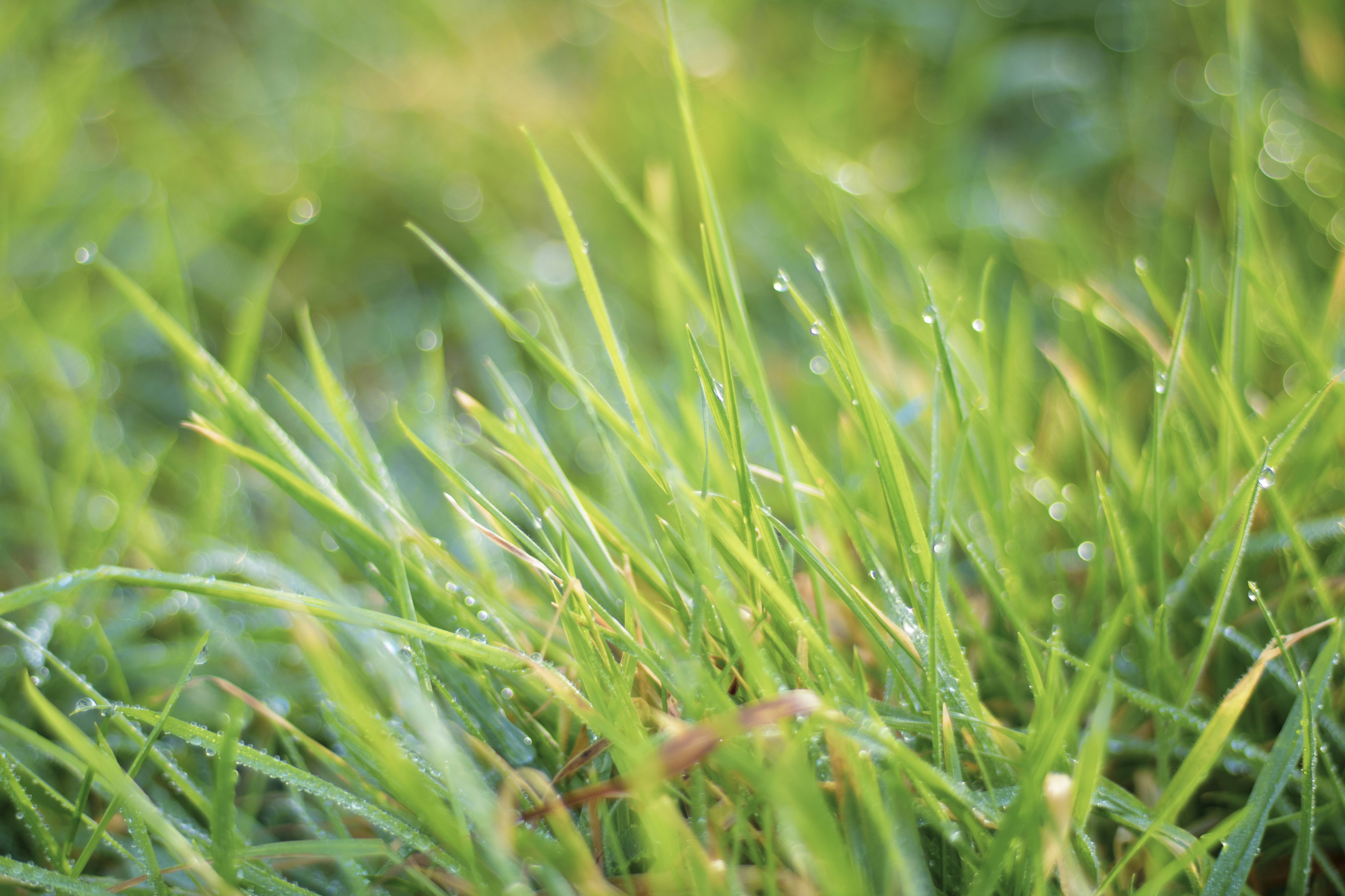 Photo by lukejonesdesign