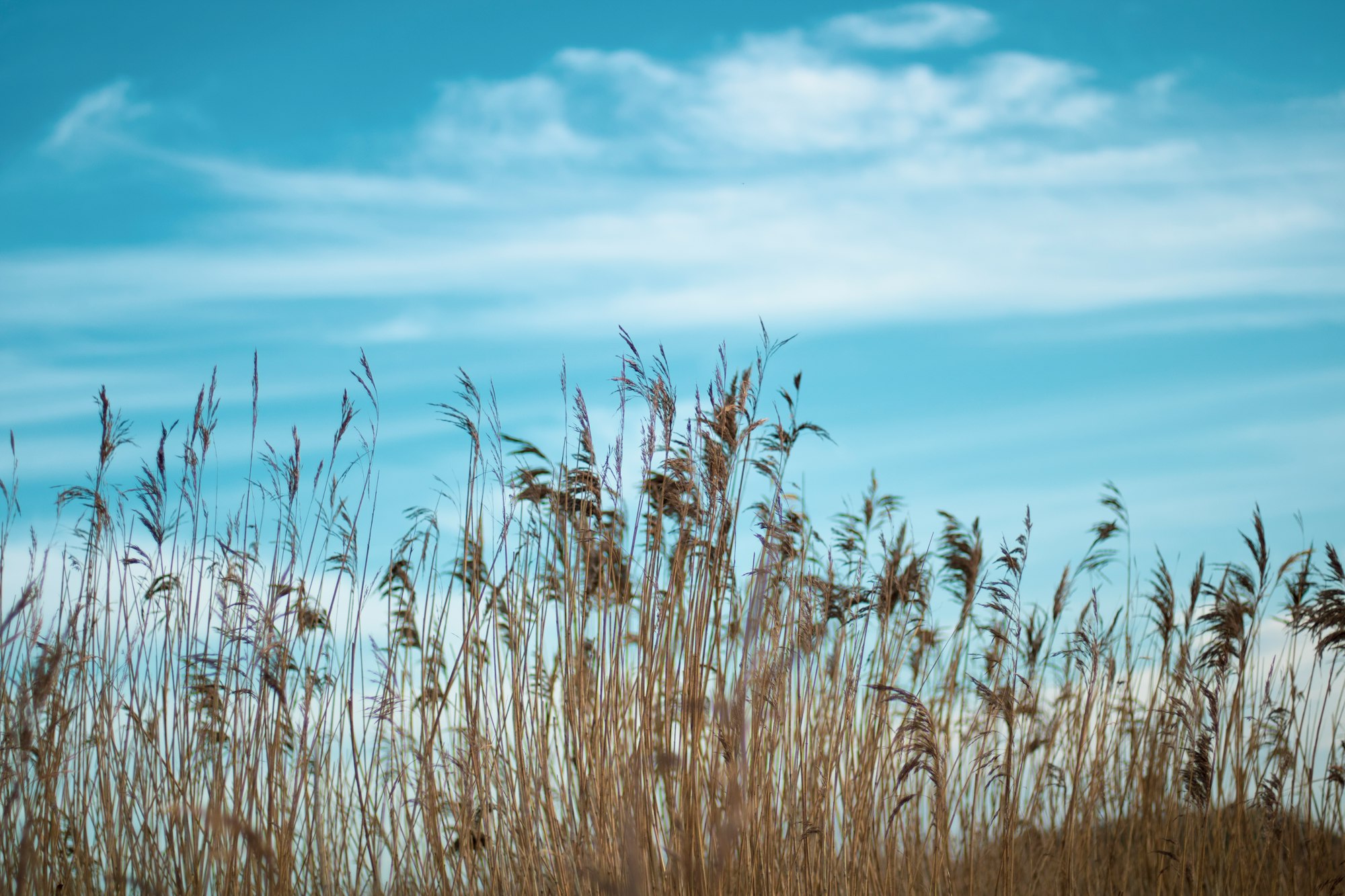 country side and sky