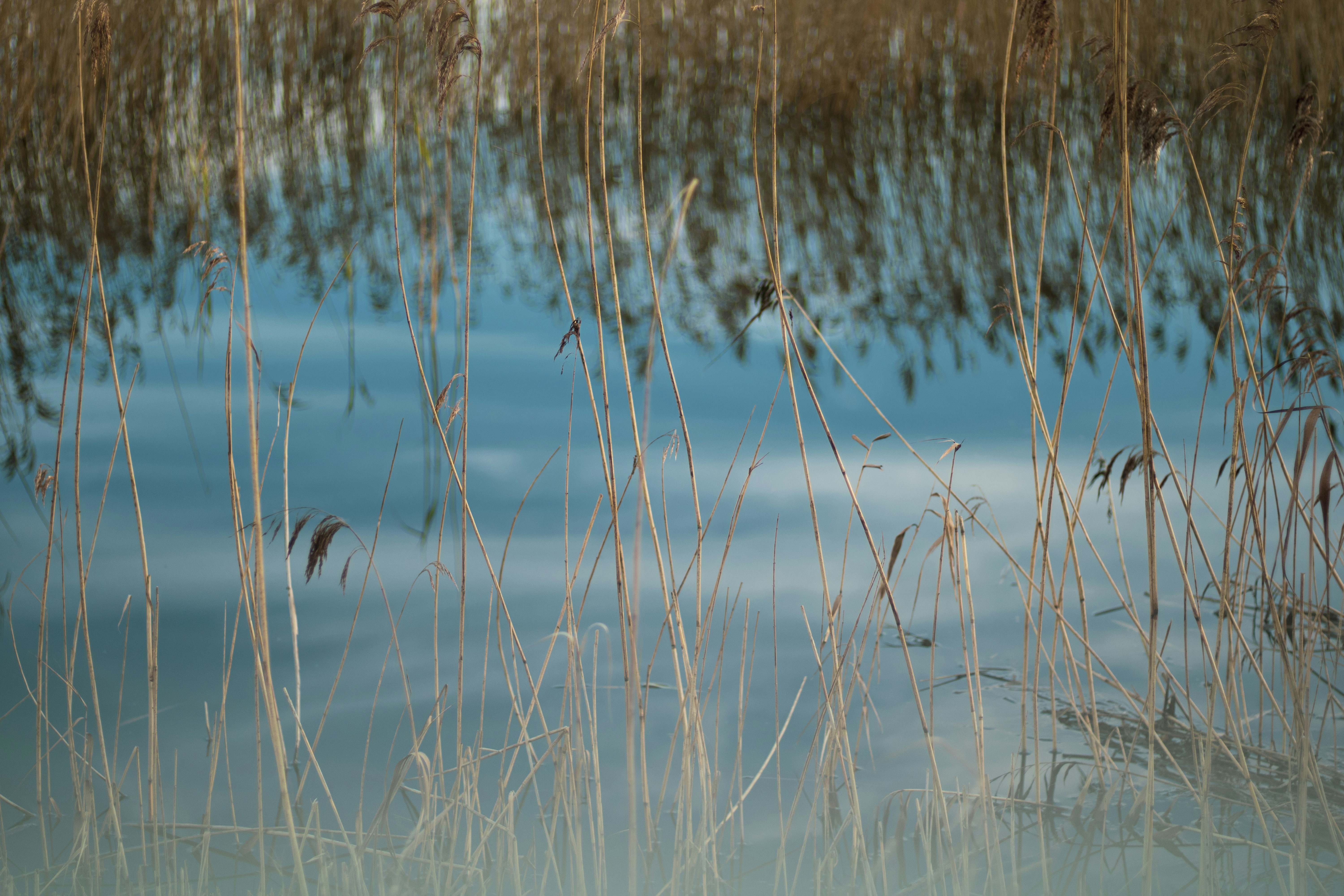 Photo by lukejonesdesign