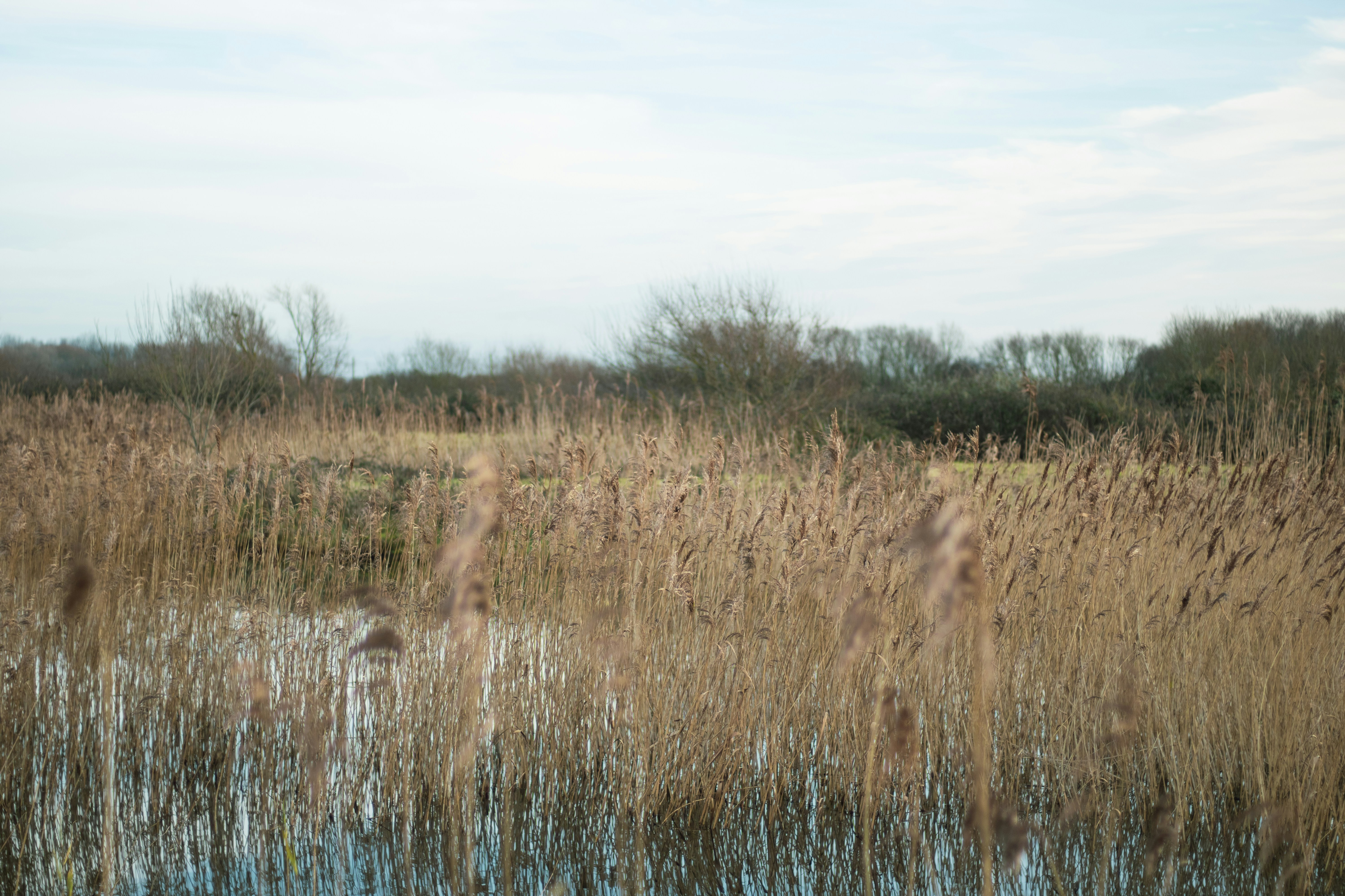 Photo by lukejonesdesign