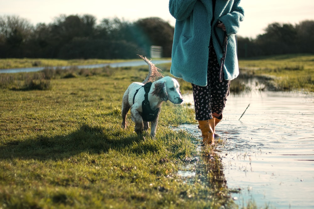 a woman and her dog are walking in the water