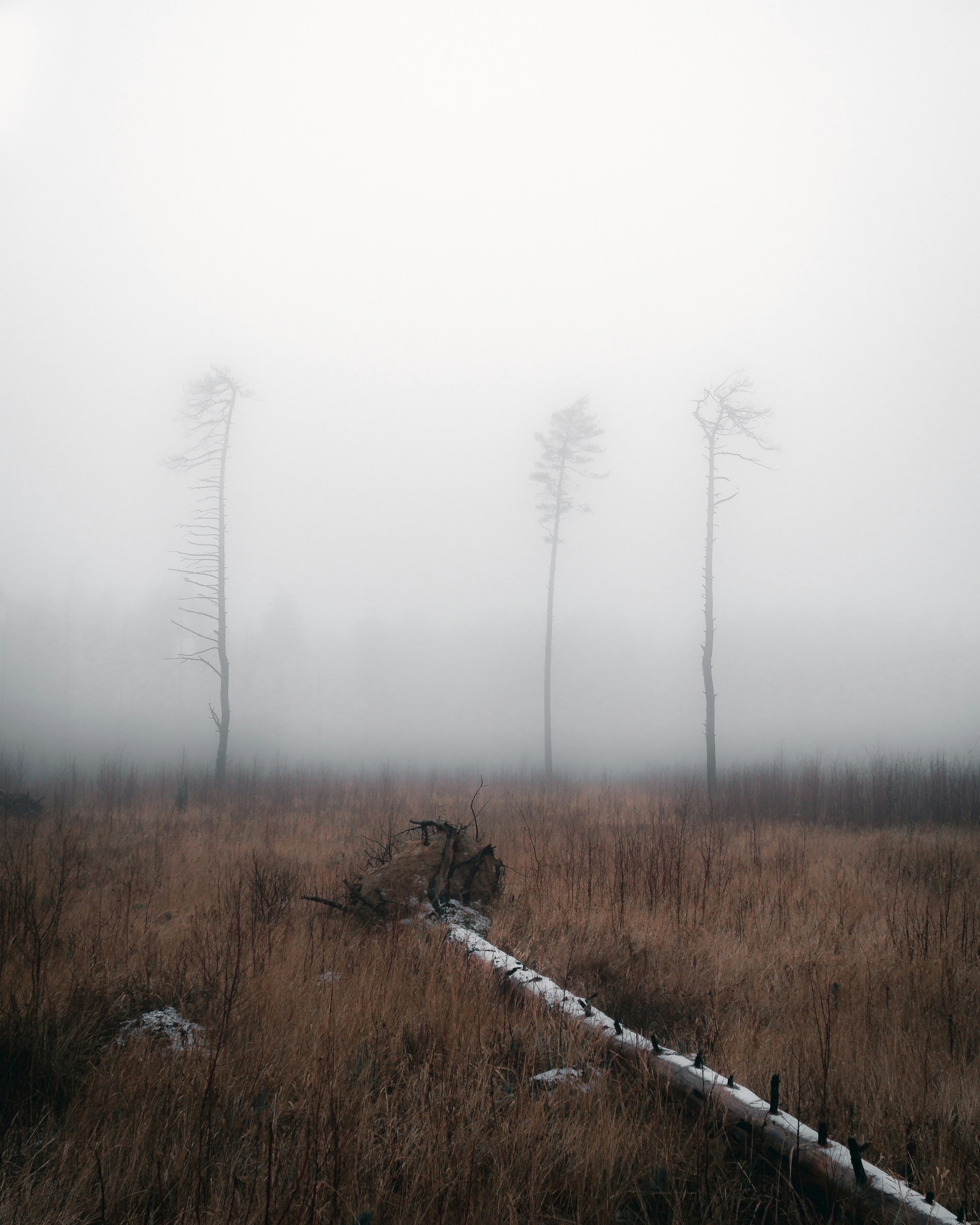 Photo by kirillpershin