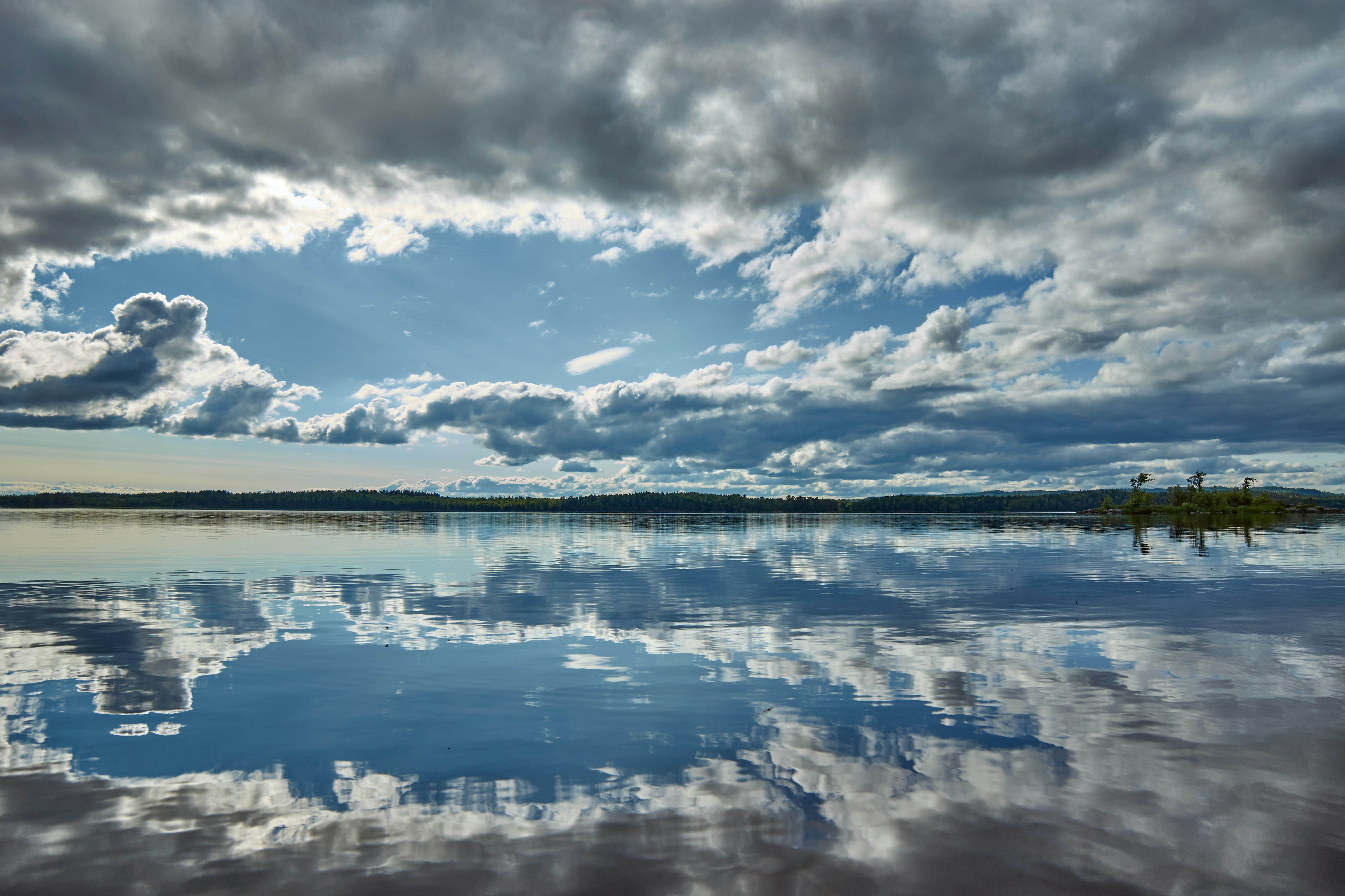 Photo by wolfgang_hasselmann