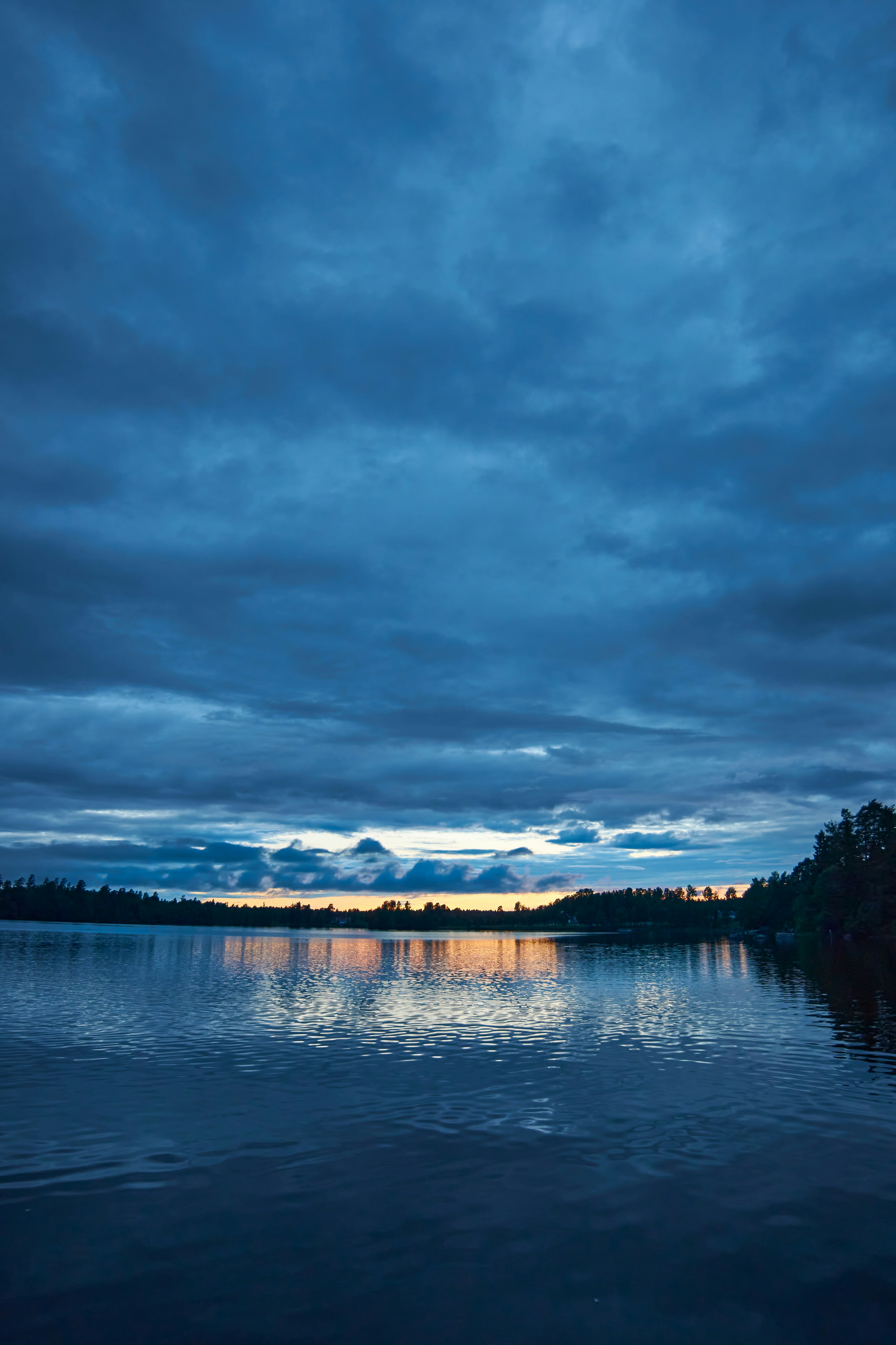 Photo by wolfgang_hasselmann