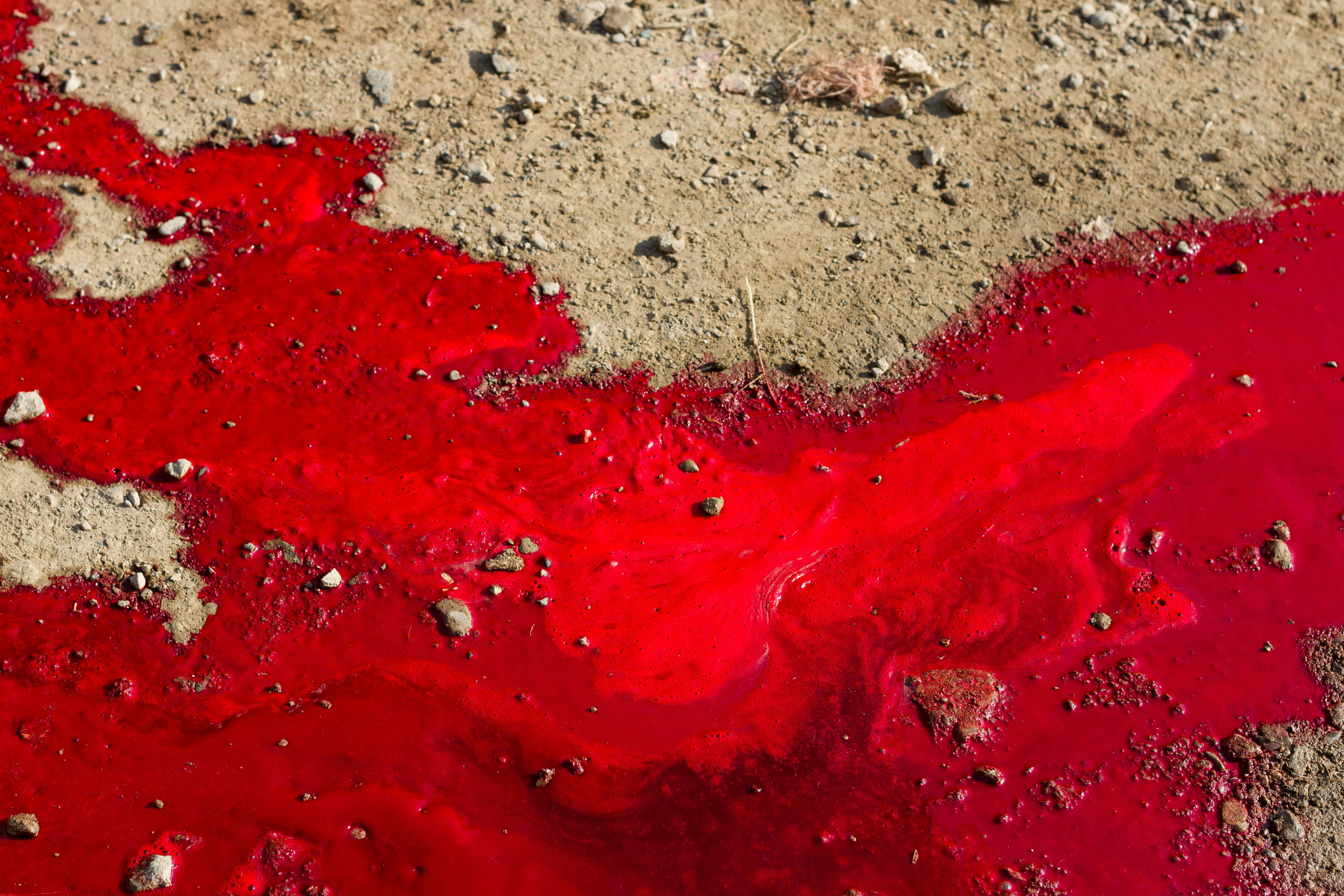 Сегодня утром. ЧП в Рязани. Комментарий полиции https:///news/2022/9