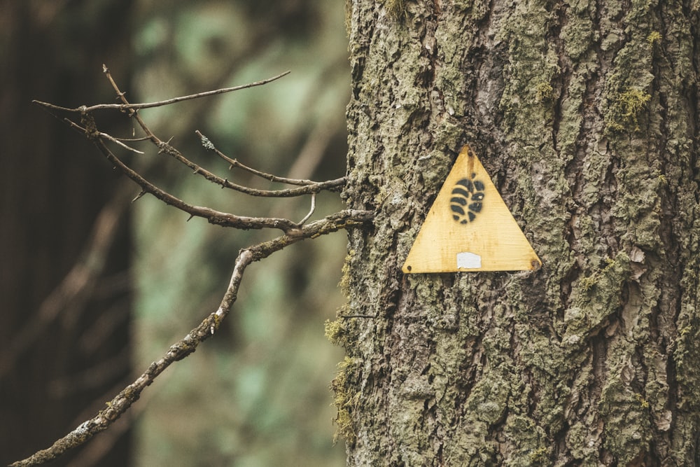 segno di freccia in legno giallo e marrone