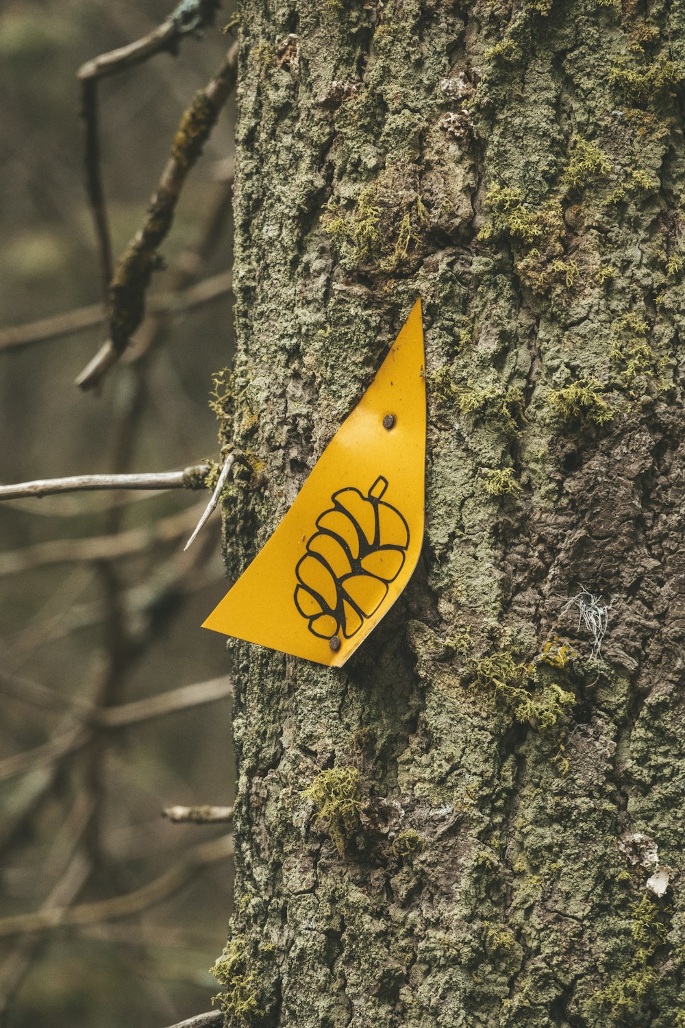 yellow and black star hanging ornament