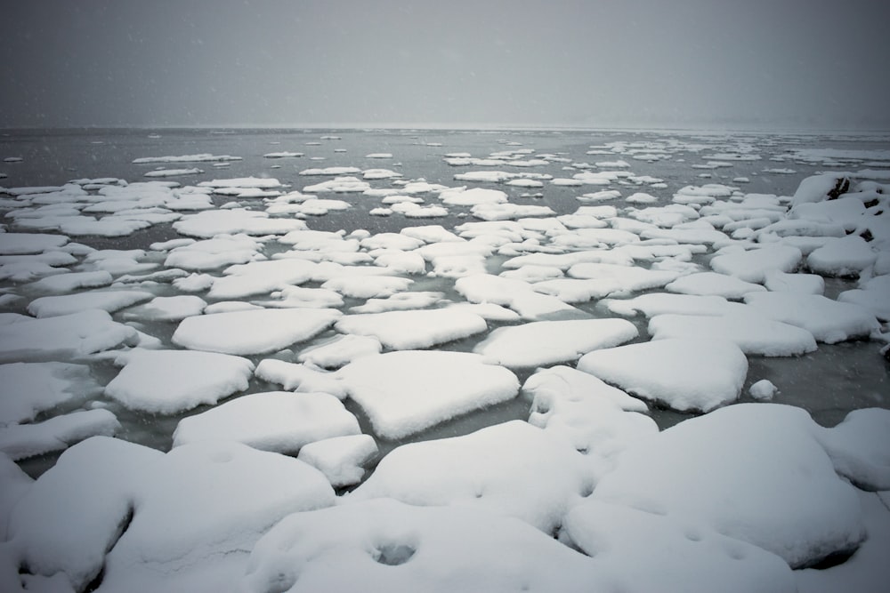 a large amount of ice floating on top of a body of water