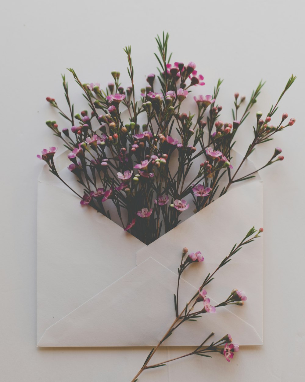 une enveloppe blanche avec un bouquet de fleurs dedans