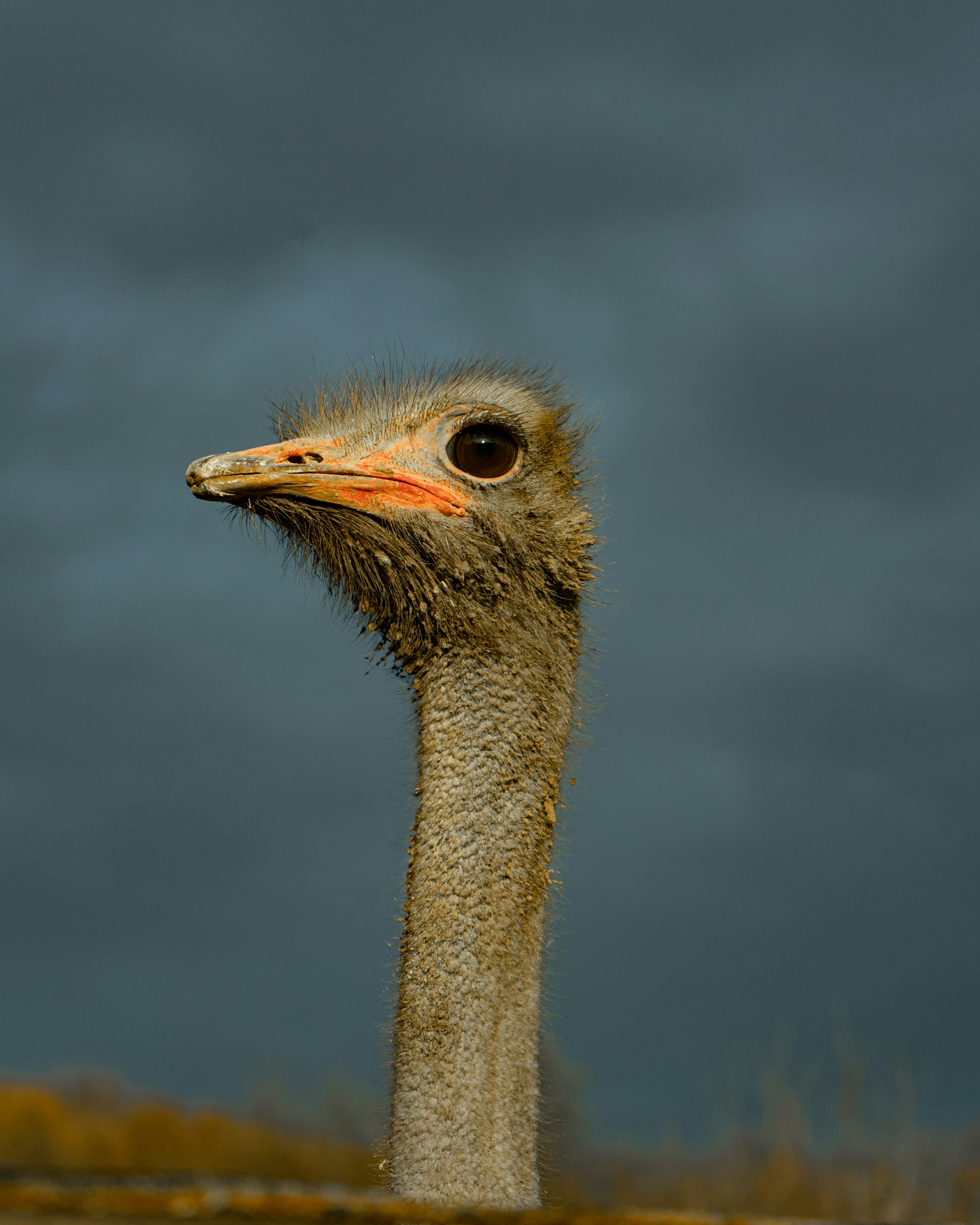 Photo by rosurazvi1995