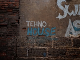 Graffiti on a brick wall features the words 'TEHNO HOUSE' painted in white and blue. The wall shows signs of weathering and wear, with peeling paint and rough textures.
