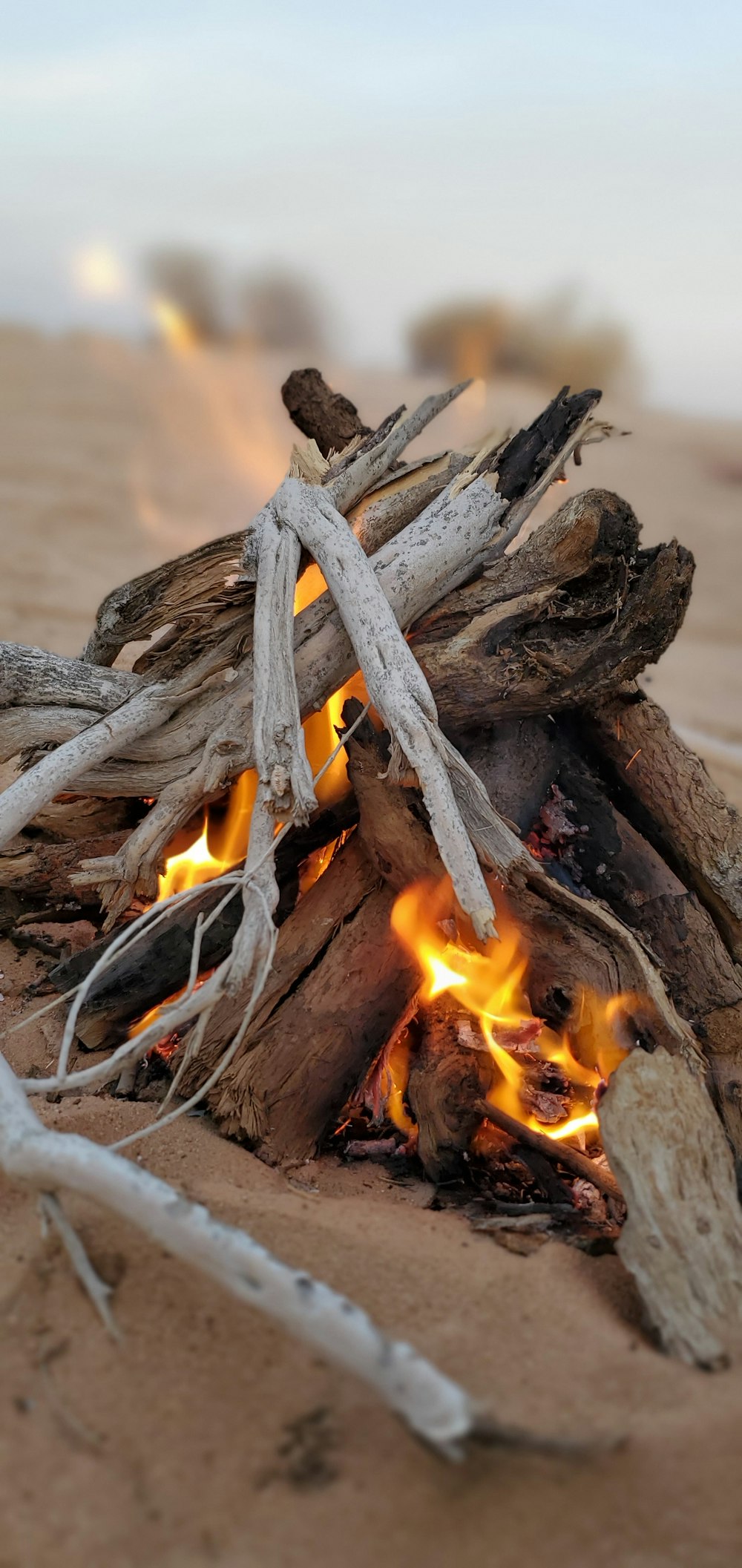 Tronco de madera marrón con fuego