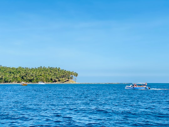 green trees on island during daytime in Andaman and Nicobar Islands India