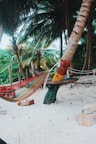 Outdoor hammock strung between palm trees capturing the laidback vibe of East Flamingo Hideaway.