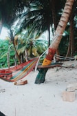 A cozy beach bungalow with hammocks and palm trees swaying in the breeze