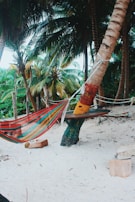 A colorful woven hammock strung between two palm trees on a serene beach.