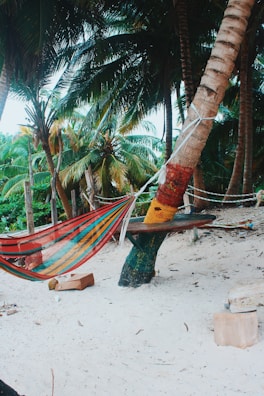 A cozy beach bungalow with hammocks and palm trees swaying in the breeze