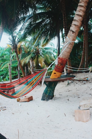 A colorful woven hammock hangs between palm trees on a sandy beach. The palm trees provide shade and create a tropical setting. A coconut and a wooden crate rest on the ground, adding to the relaxed, beachy atmosphere.
