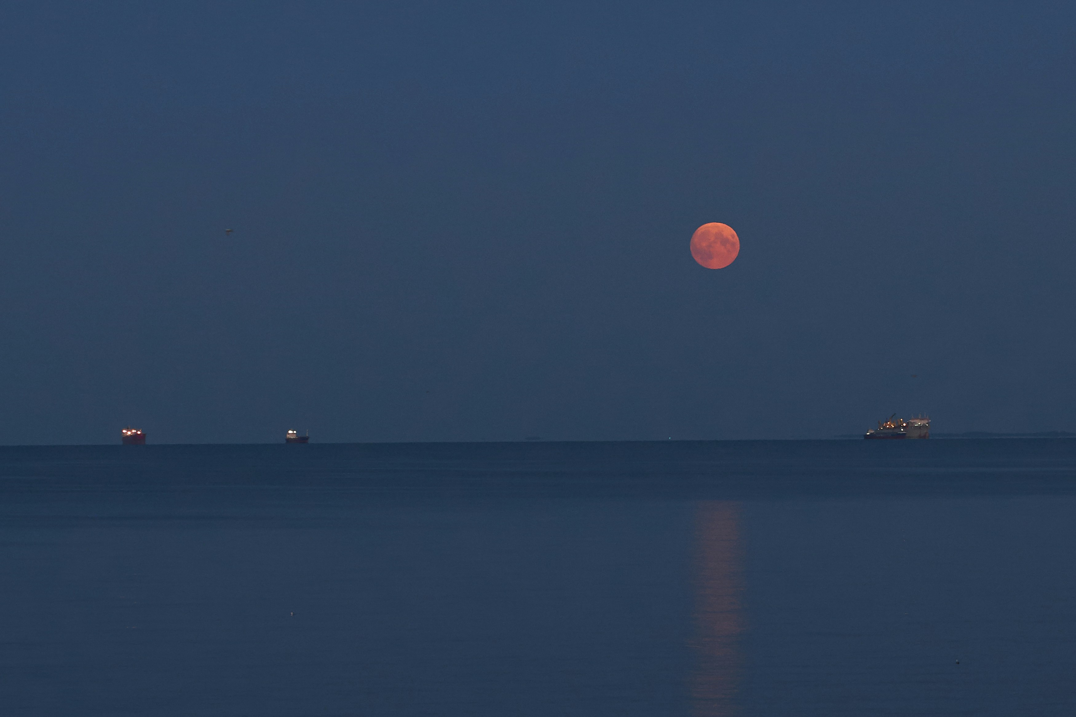 Photo by radek_michalik