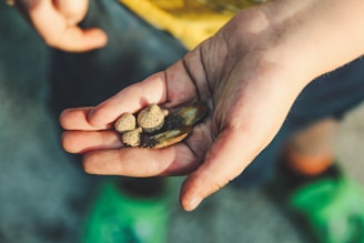 Close-up of hands holding mineral samples with mining equipment blurred behind.