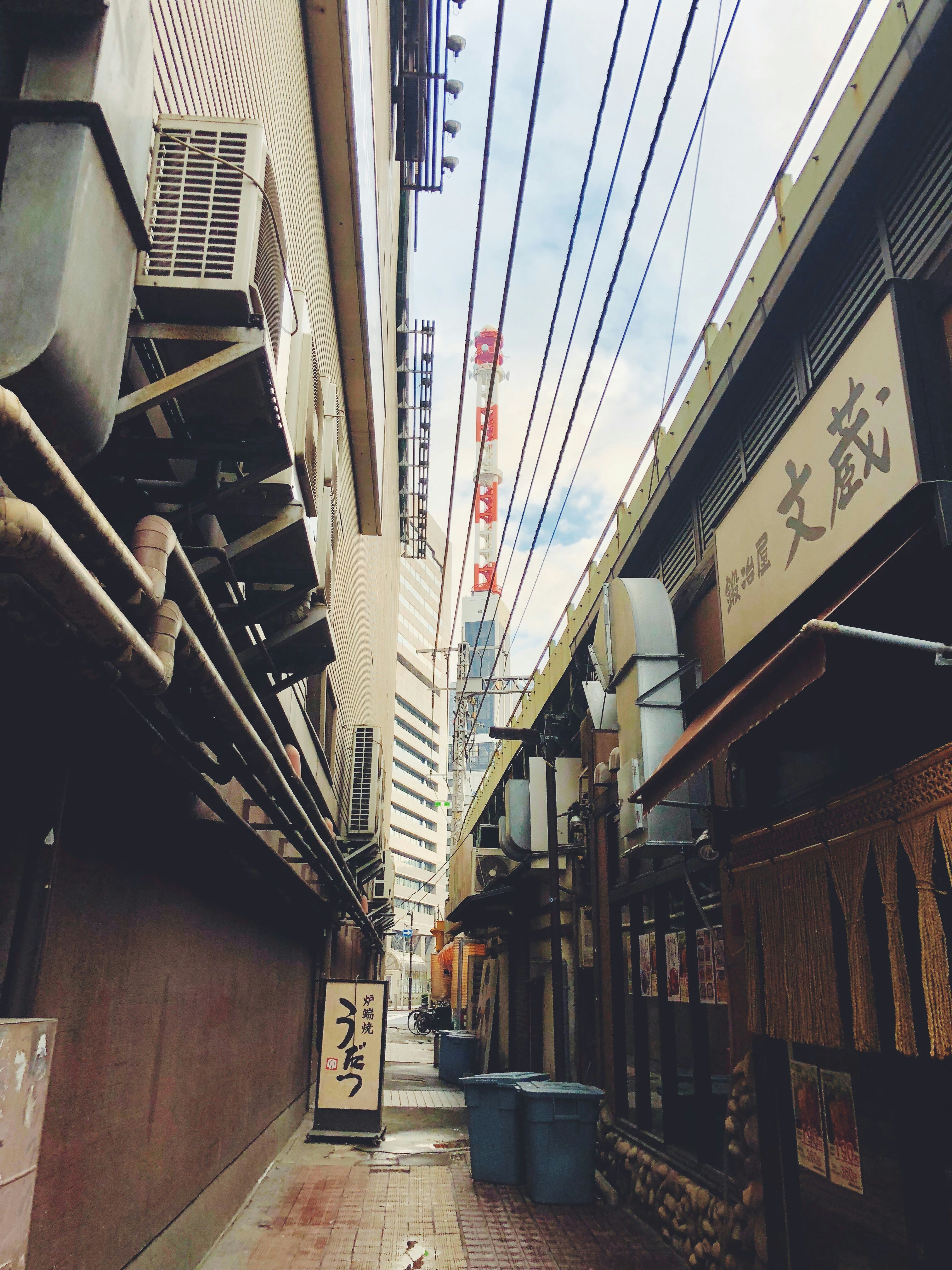 Day 5: Tsukiji Outer Market and Teamlab - Food and Digital Art
