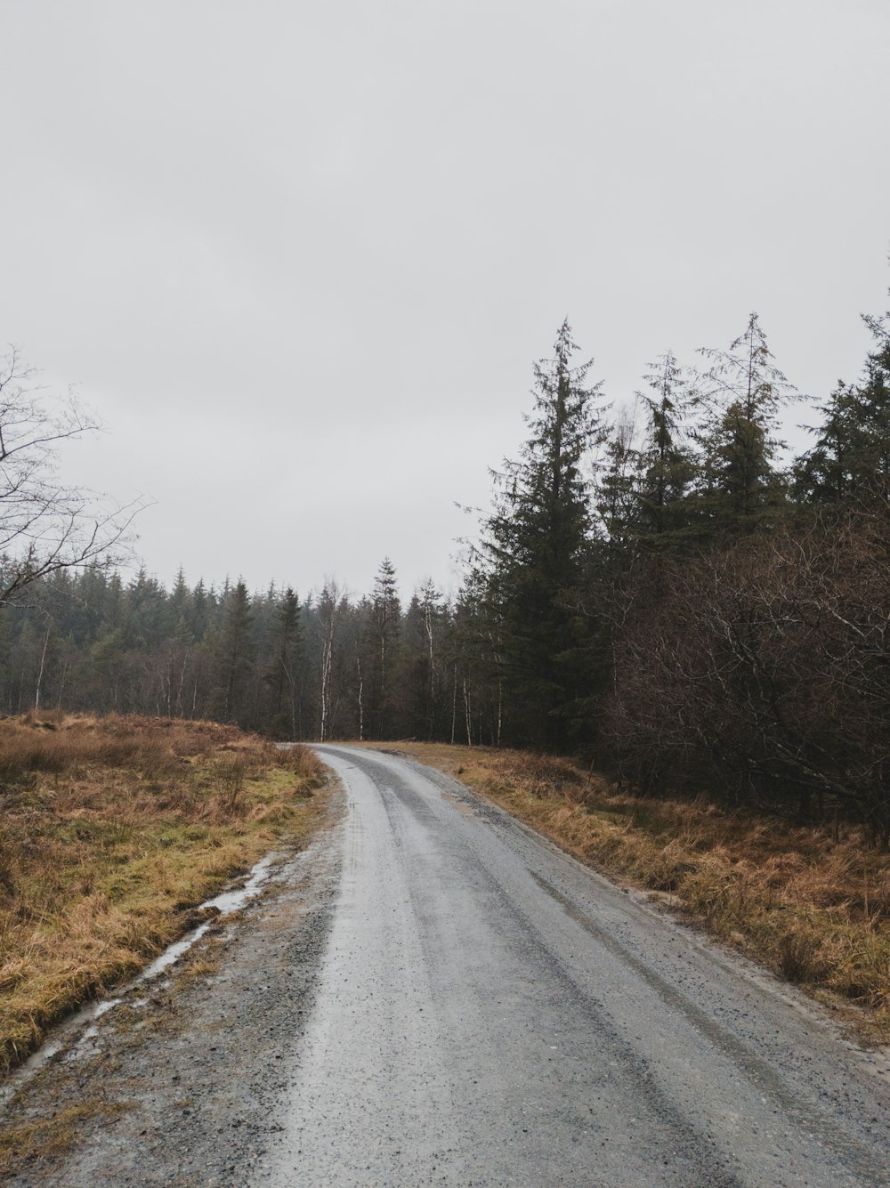 gray asphalt road between brown grass and trees during daytime