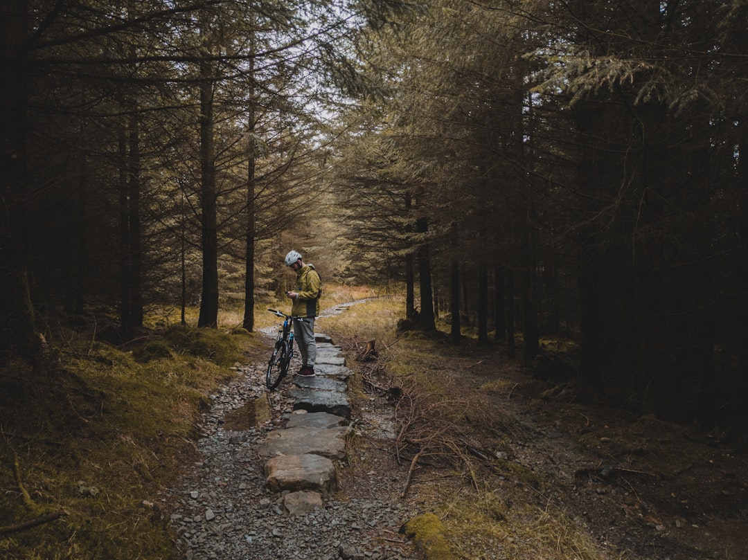 person in blue jacket and blue denim jeans walking on pathway between trees during daytime