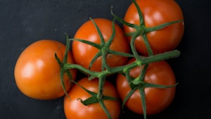 Ripe Vine Tomatoes