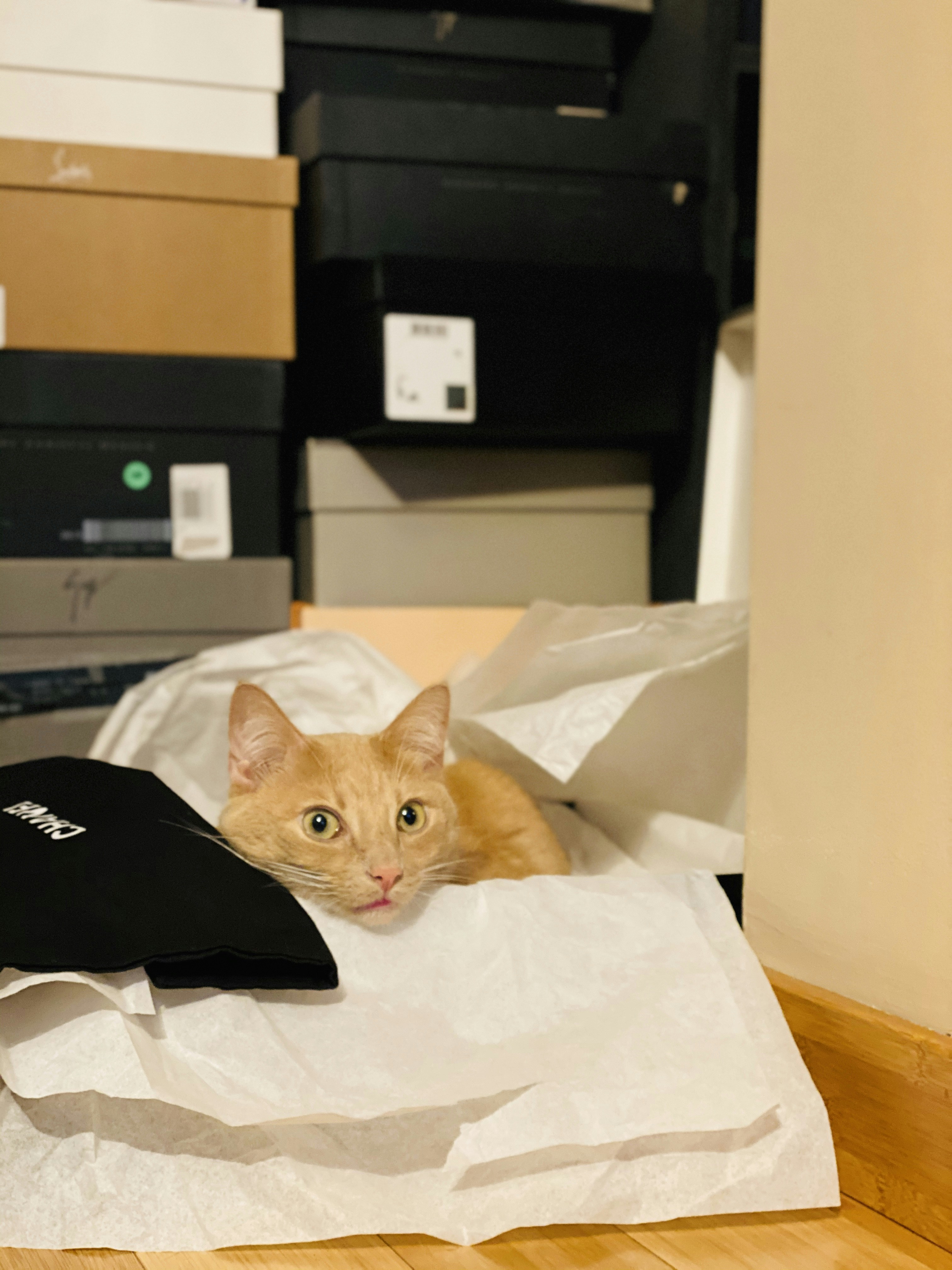 Blind Date with a Book