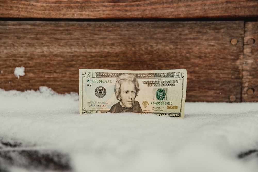 a twenty dollar bill laying on top of a pile of snow